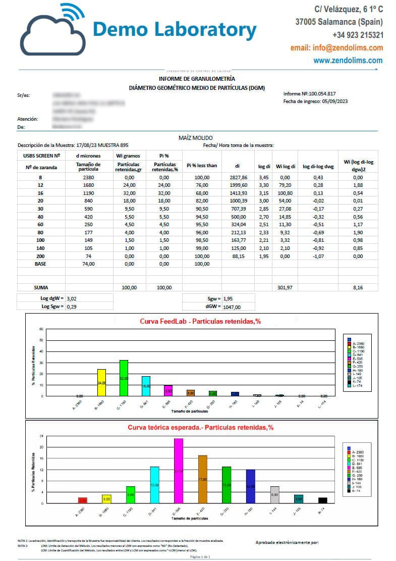 Ejemplo de Informe Granulometría