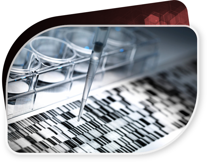 Genetic and Molecular Laboratory