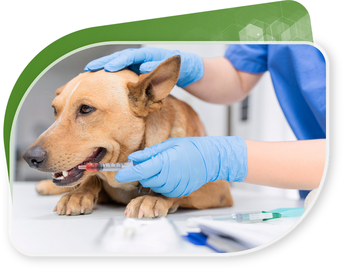 Veterinary Laboratory Management Software